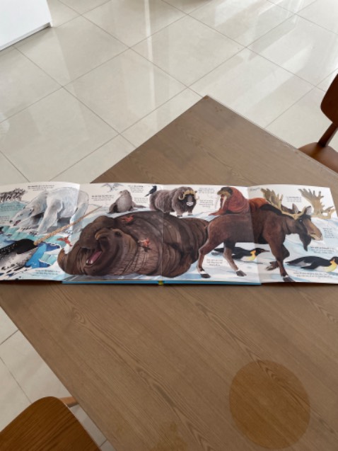 Giao hàng nhanh, đóng gói cẩn thận, sách in đẹp, hình ảnh bắt mắt, sống động. nội dung dịch khá tốt