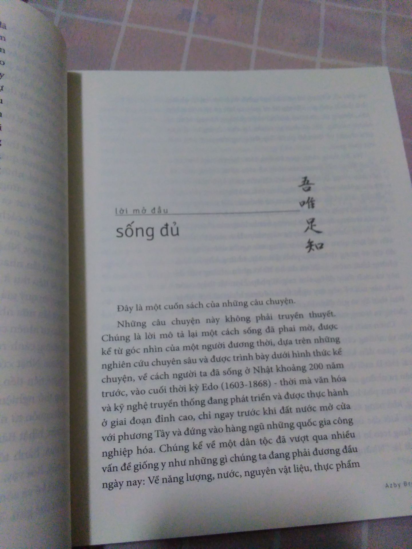 khổ sách to, phù hợp mở ra rồi nghiên cứu ghi chép, giấy thơm, mịn, bìa rất xinh, đọc sơ qua thì sách tìm hiểu về nhật bản, những lối sống xưa, bản vẽ minh hoạ xinh đẹp, nên mua nha