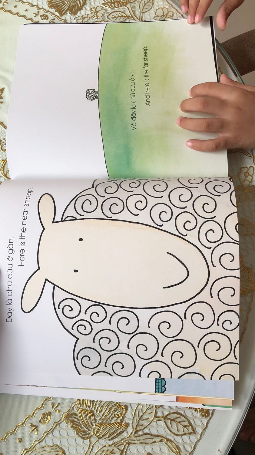 Mình thật sự rất thích quyển sách này. Mỗi trang sách là 1 điều thú vị khác nhau ko lặp lại, có trang dạy về màu sắc, có trang dạy động từ, lại có trang dạy tính từ. Bé rất thích thú dù đọc qua nhiều lần