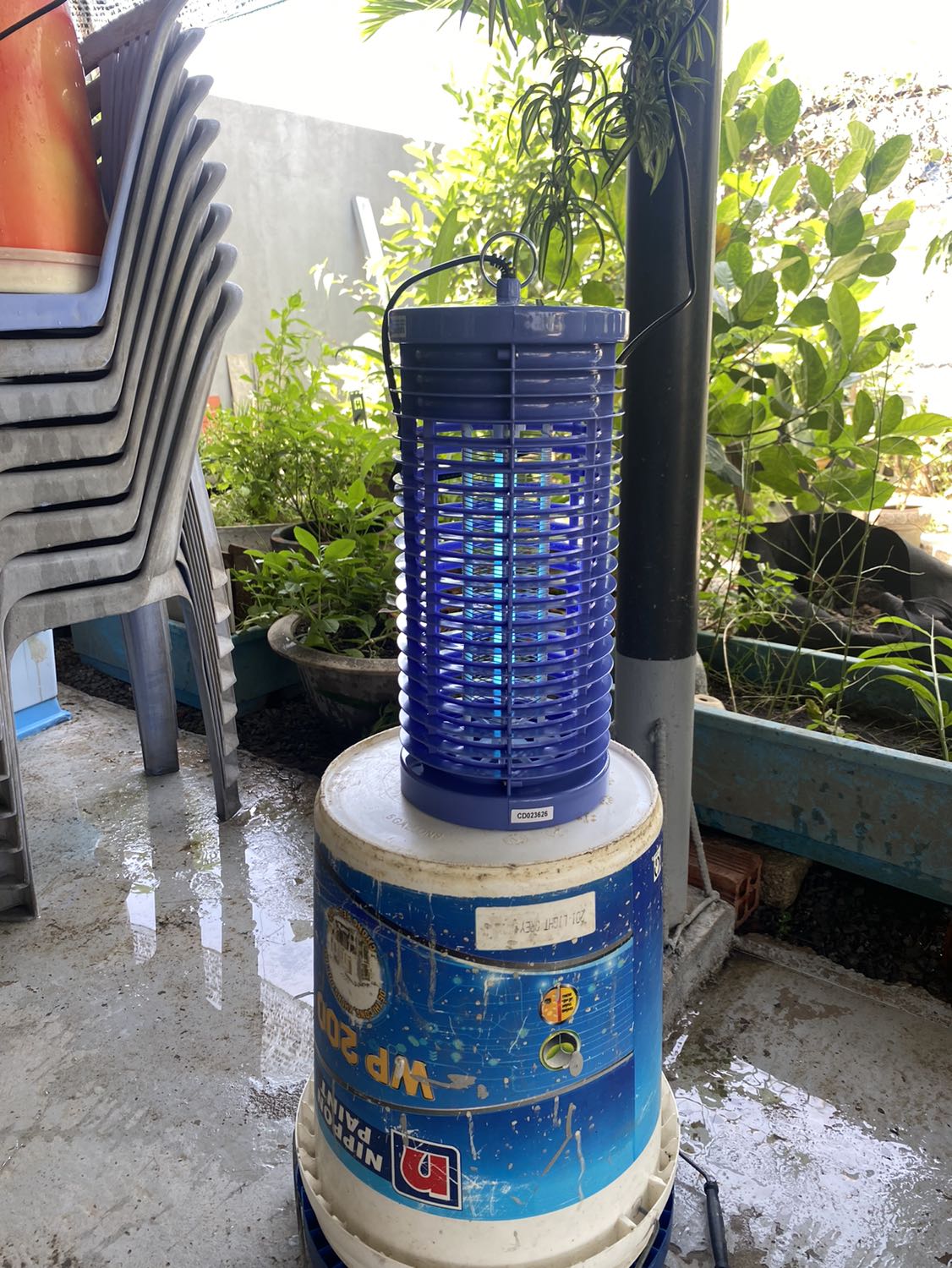 Để cả 30 phút rồi mà ruồi vẫn k bắt dc con nào