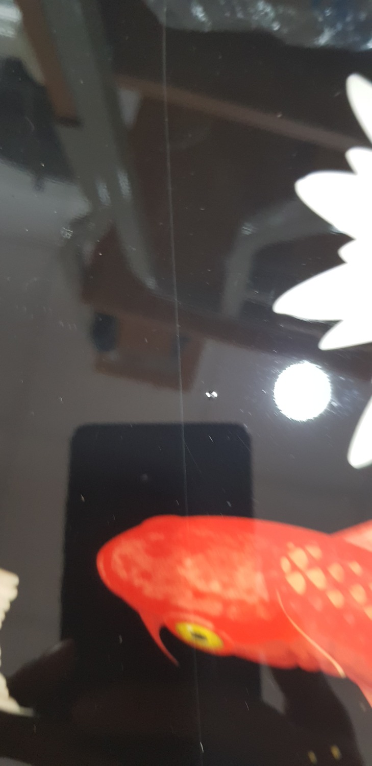 bạn ơi sáng này mình có nhận 1 bức tranh cá Koi khi mở bao bì ra thì nó đã bị rãy rồi bạn xem và phản hồi giúp mình