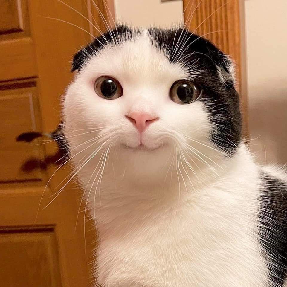 Hàng date mới lắm,giao hàng hơi lâu 14 ngày do dịch bịnh,chờ lâu nhưng cũng cho 5 sao cho shop