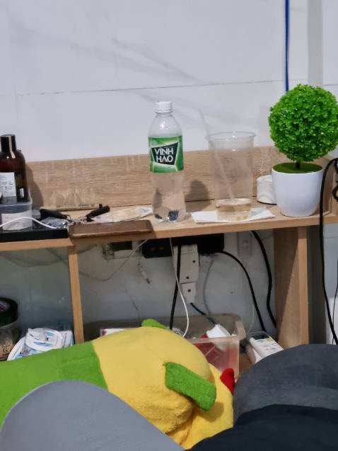 Gỗ ép cao cấp.chắt chấn và đẹp