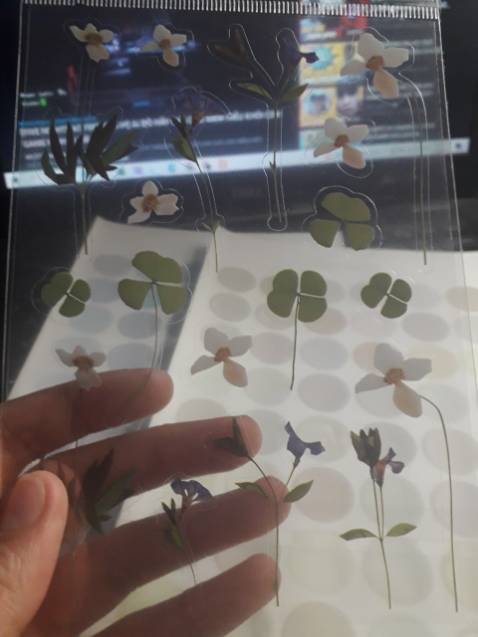 đẹp và hình in rất nét, sticker đối vói mình thì hơi to nhưng bù lại thì rất đẹp