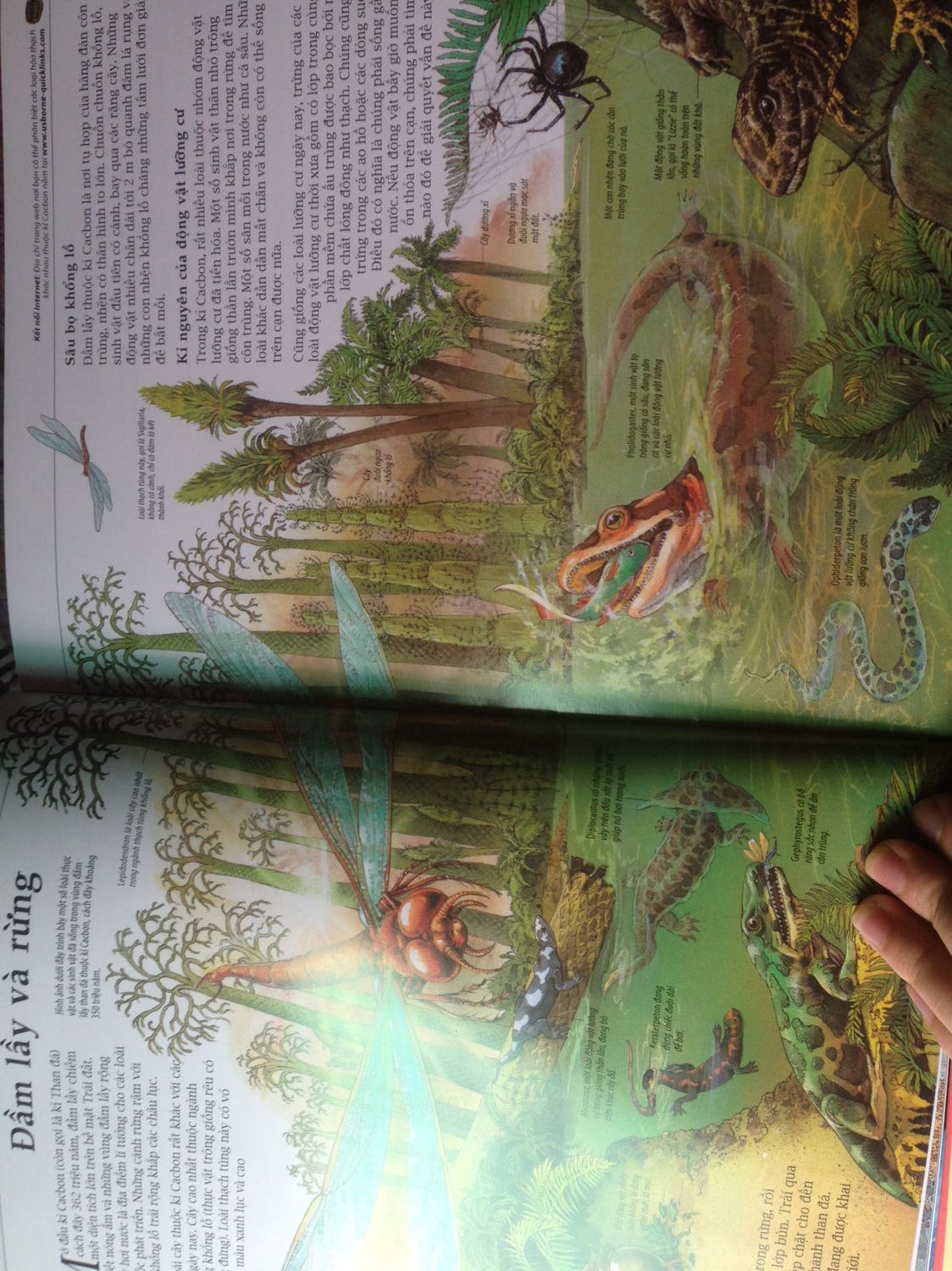 Chất lượng sách tốt, Chỉ theo Ý kiến chủ quan của mình thì mình thấy hình ảnh trong sách hầu hết là vẽ nên nhìn không được trực quan cho lắm. Nhưng vẫn tặng 5?