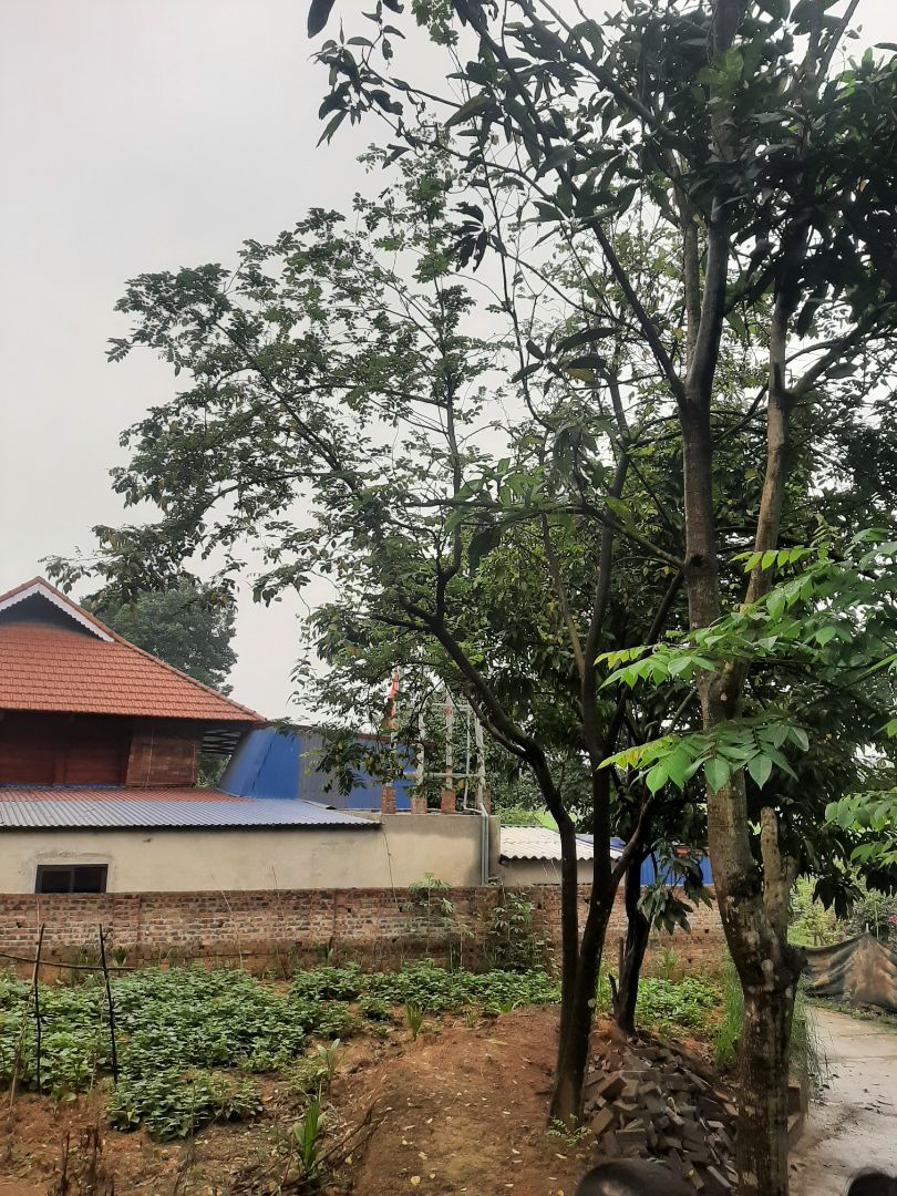 Thông tin hữu ích. Thông tin hữu ích.