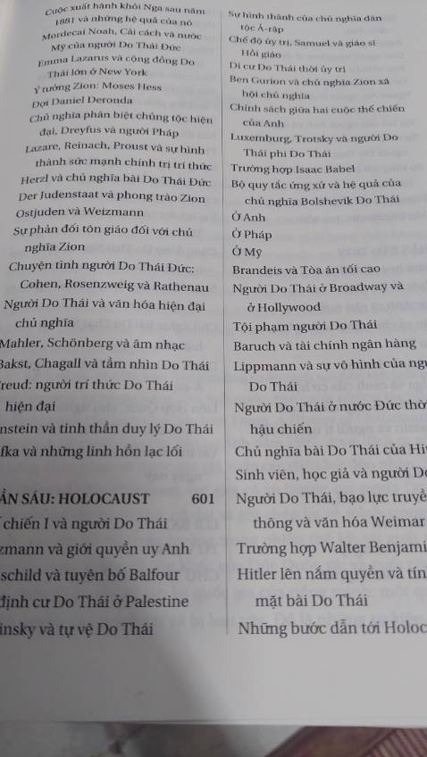Thế giới có xu hướng coi người Do Thái là một chủng tộc tự trị thời cổ đại và ghi chép lại về mình trong Kinh Thánh, sau đó lui vào hậu trường trong nhiều thế kỷ; tái xuất chỉ để hứng chịu cuộc thảm sát tàn khốc của Đức Quốc xã; và cuối cùng, trở về nơi chốn khởi đầu để lập lại quốc gia của riêng mình: một quốc gia với *** gây tranh cãi và bị bao vây.
Người Do Thái tạo nên một bản sắc riêng biệt và cụ thể sớm hơn bất cứ dân tộc nào còn tồn tại tới ngày nay. Họ đã duy trì được nó giữa những nghịch cảnh khủng khiếp cho tới hôm nay. Sức chịu đựng phi thường này từ đâu ra? Sức mạnh ý chí đặc biệt cháy bỏng nào đã khiến người Do Thái khác biệt và giữ cho họ thuần nhất? Sức sống bền bỉ của họ nằm trong bản chất bất biến, hay khả năng thích ứng, hay cả hai?
Paul Johnson đã kết nối các sự kiện lịch sử lại với nhau để khám phá những gì còn khiếm khuyết, nghiên cứu rồi ghép chúng vào trong một tổng thể  được phân kỳ thành 7 chủ đề chính để có thể giúp độc giả dễ dàng hơn trong việc tiếp cận nội dung.