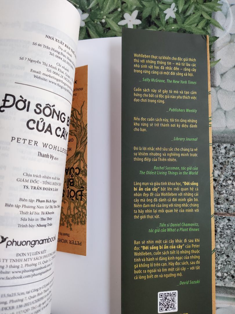 Bạn đầu bạn luôn nghĩ cây là chuỗi cuối cùng trong chuỗi thức ăn nhưng sau khi đọc quyển sách này bạn sẽ bt cây sẽ bt đau, bt suy nghĩ, hơn thế có một xã hội như loài người. Bt đoàn kết, chia sẽ, tính toán cho đời sau. Vậy nghĩ xem sau này bạn sẽ đối sử với cây( thực vât) ra sau khi bt những điều này về chúng.? Sẽ k ai còn tùy tiện cư xử thiếu ý thức với chúng nữa khi bt lúc chúng ta xem chúng đẹp nhất lại là lúc chúng khổ sở, lo lắng,v.v. đọc để cảm nhận....