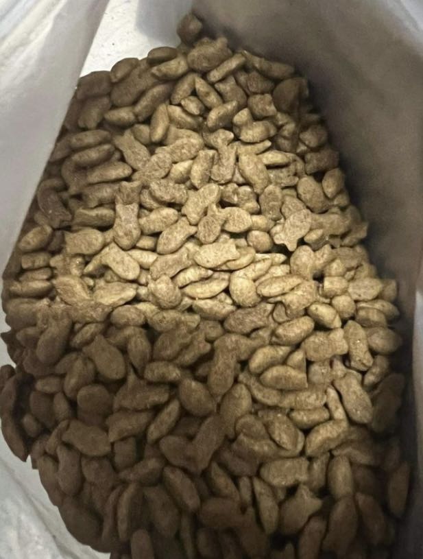 Mấy mèo nhà mình rất kén ăn mà lại cực thích Hạt Cat’s Eye này 😂😂 mà đi phân cũng k thúi nữa chứ 👍👍
Rẻ ngon tốt sức khoẻ 🥰