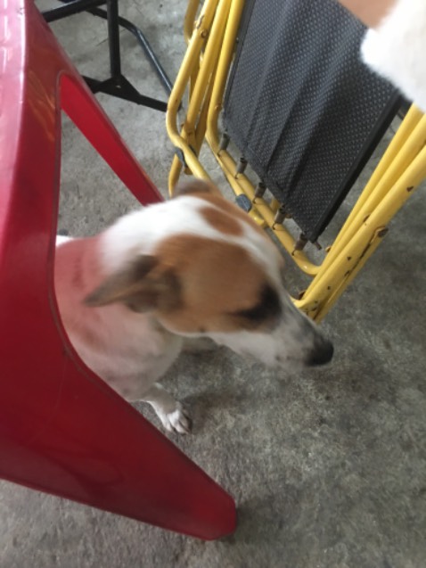 A lô a đến bê với vận tốc của ô tô đi từ a đến bê với vận động viên sủi bọt biển tinh nghịch tập chi tinh đồ chơi cho vui vẻ nha a di đà a di banh chi zi ak