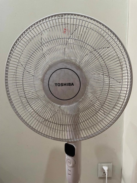 Đã mua 3 cây quạt này để sử dụng. Quạt êm, mát có nhiều chế độ gió để lựa chọn. Đặc biệt ở chế độ thường, có đến 24 mức để điều chỉnh.Thiết kế đẹp, trơn tru, cảm giác chắc chắn tin cậy. Nói chung, chất lượng và chức năng phù hợp giá tiền. 
Điểm trừ là remote chất lượng không tin cậy - 3 cây quạt thì chỉ có 1 hoạt động tốt! Và remote hư thì không được bảo hành.