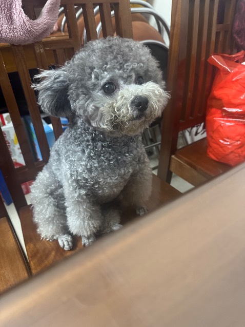 Mình thấy cuốn sách này rất hay và hữu ích