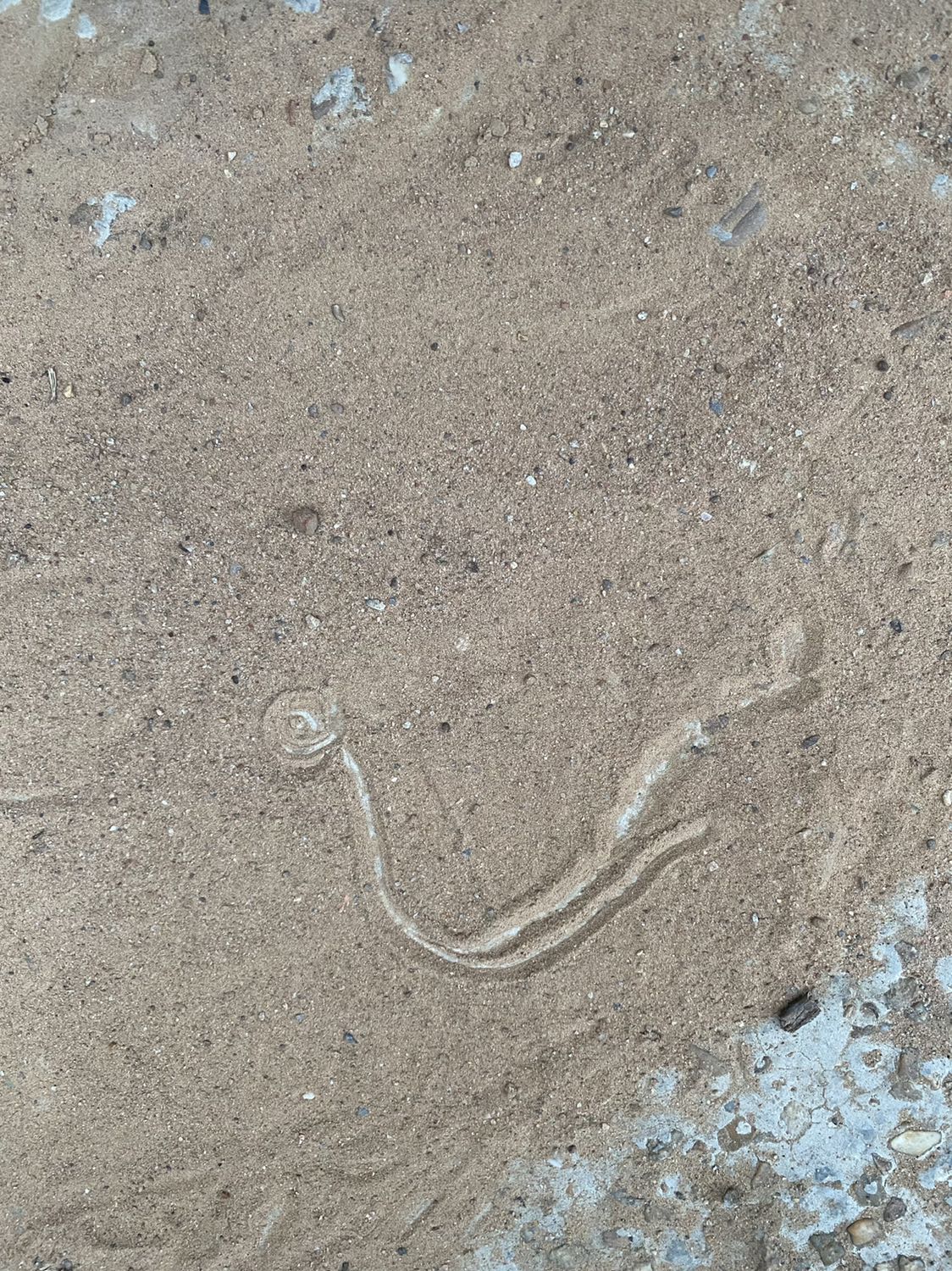 Giao hàng nhanh, sách đẹp. Sách này rất hay, bé đầu mình đã áp dụng rất thành công (mà hồi đó đọc ebook ^^), nay bé thứ 2 thì mình mua sách về xem các chương cho tiện
Tiện thể mom nào mua quyển Nuôi con không phải là cuộc chiến 2 thì review nội dung mình tham khảo với nhé