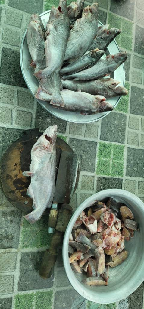 Đẹp đáng giá tiền