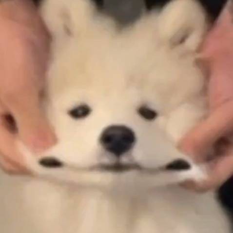 dao sắc, màu đẹp hơn tưởng tượng, đóng gói hàng cẩn thận lắm ý. Chưa dùng nên chưa biết có bền không nhưng nên mua nhéee