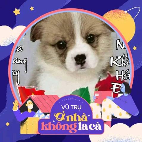 mình đã sử dụng rồi ok pin 1,2so với mic thì hơi thấp so với mic thì dùng 1,5 là tốt hơn