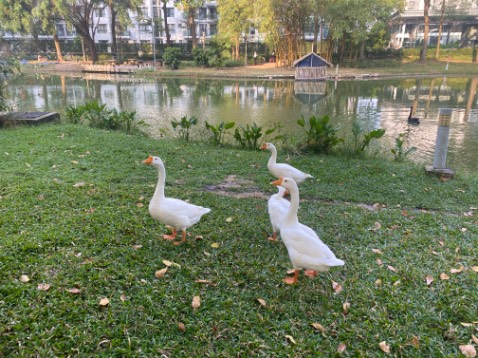 Bao bì đẹp, chất lượng tốt, dùng rất thích