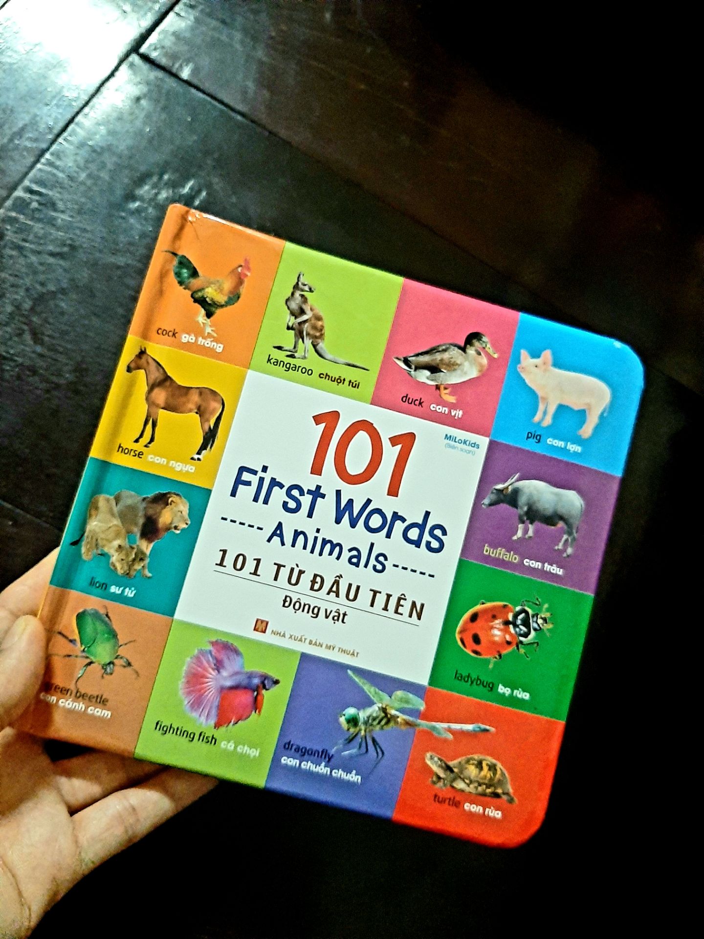 giao hàng nhanh, sách có hình