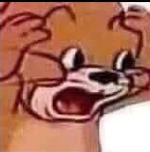 ủudodbkwjsnskslskk