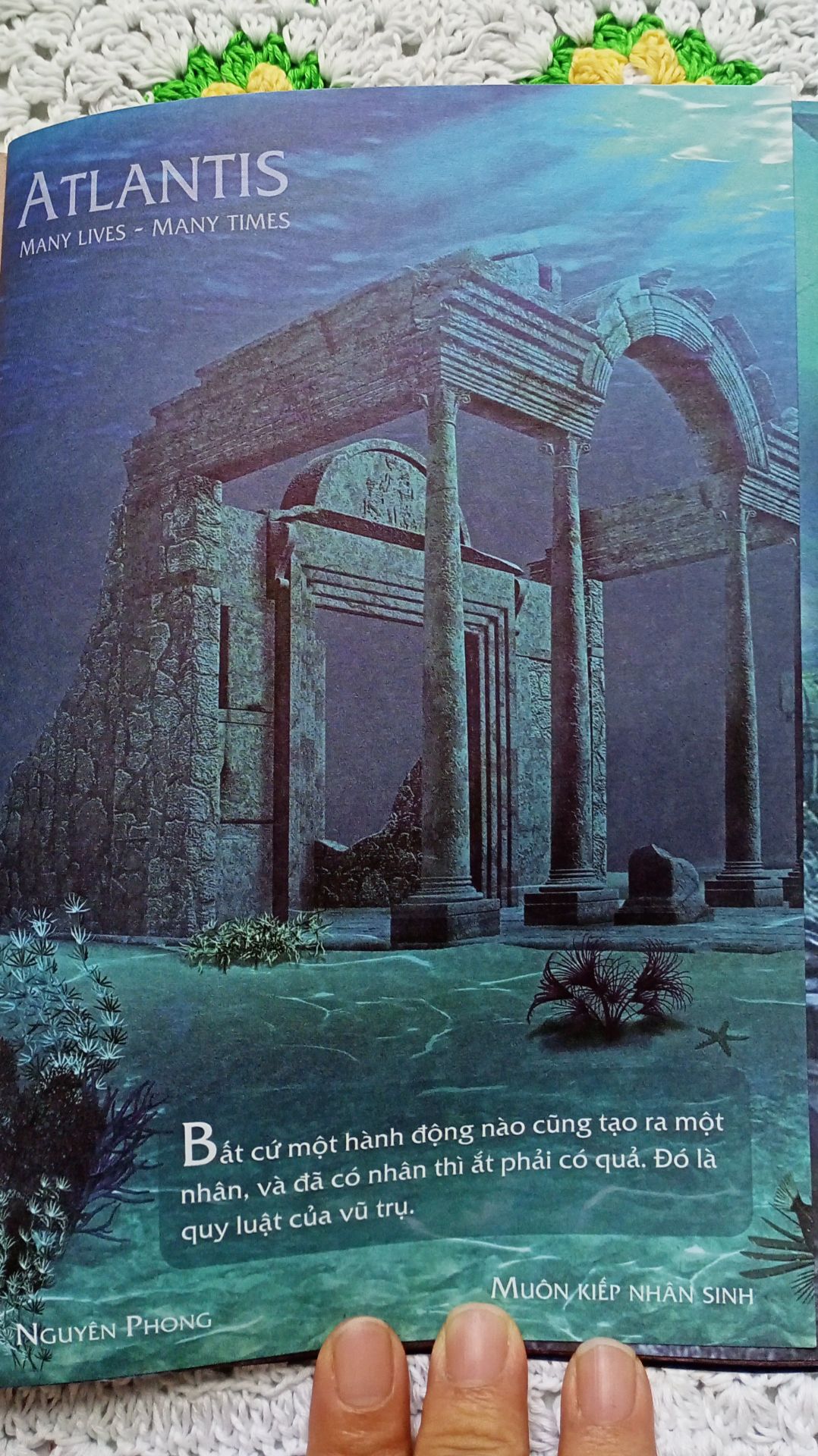 Ảnh đánh giá