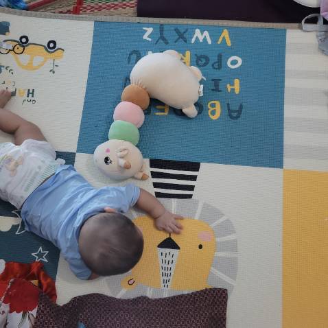 Shop cho ngẫu nhiên con sư tử, bé nhà mình rất thích 😍,thảm đẹp như hình nhé