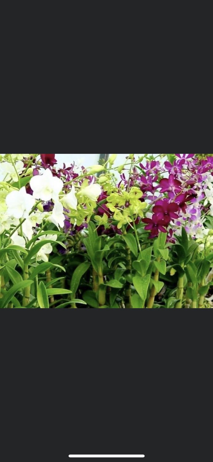 bàn rất tiện lợi . gấp gọn nhỏ nhẹ dễ di chuển mà chắc chắn