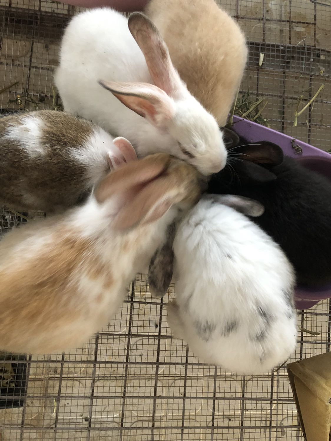 Chất lượng sản phẩm tuyệt vời, đóng gói sản phẩm chắc chắn :))