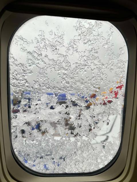 Hạt tươi, cần rang lại 1 lượt mới giòn thơm.