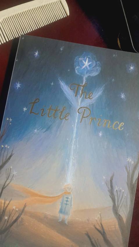 giao hàng nhanh,mặc dù có một số vấn đề lúc vận chuyển nhưng sốp cute lắm,vẫn ổn,nội dung thì chắc iconic quá rồi,bìa đẹp,10 điểm