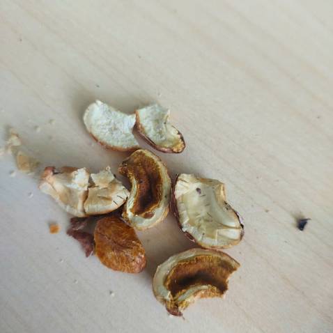 Hạt điều k tươi, có nhiều hột bị hư, nám đen, hơi nặng mùi, 1 số hạt bị hôi dầu, không giòn