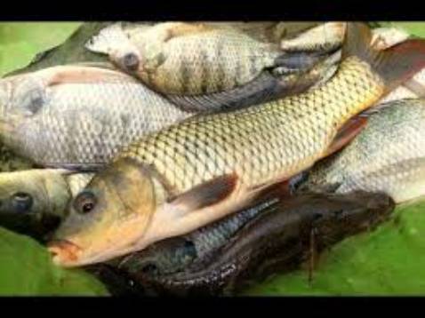 Mẫu mã đẹp và sản phẩm đóng gói cẩn thận.