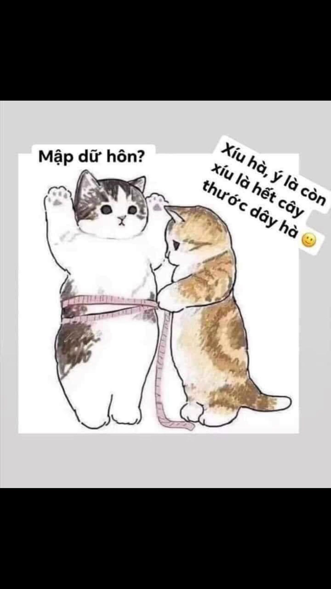 đóng gói cẩn thận, đồ chơi đẹp