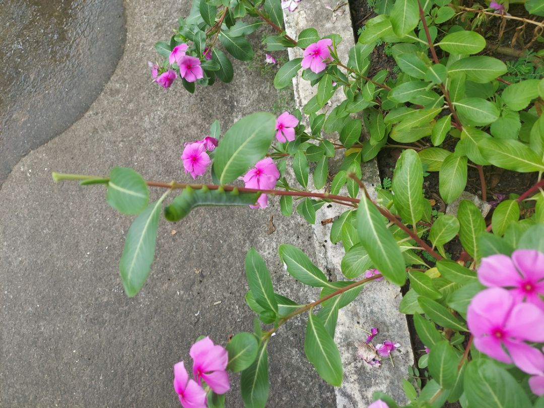 nội dung hay và cảm động