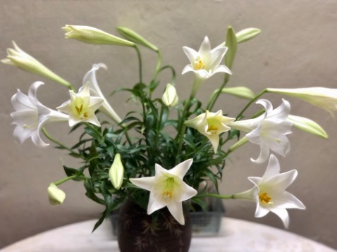 Hàng OK, đóng gói cẩn thận