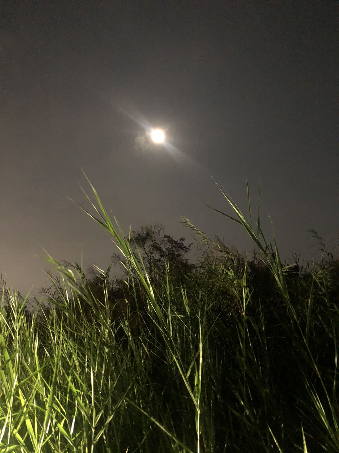 Thùng khá lớn nhựa dầy dặn chắc chắn, mẫu mã đẹp chưa sử dụng nên ko biết ntn hi vọng là đung bền