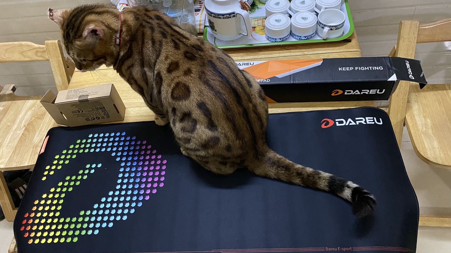 Bàn di chuột mà cứ tưởng cái thảm tập yoga ...?? Nó bự khổng lồ luôn !!!