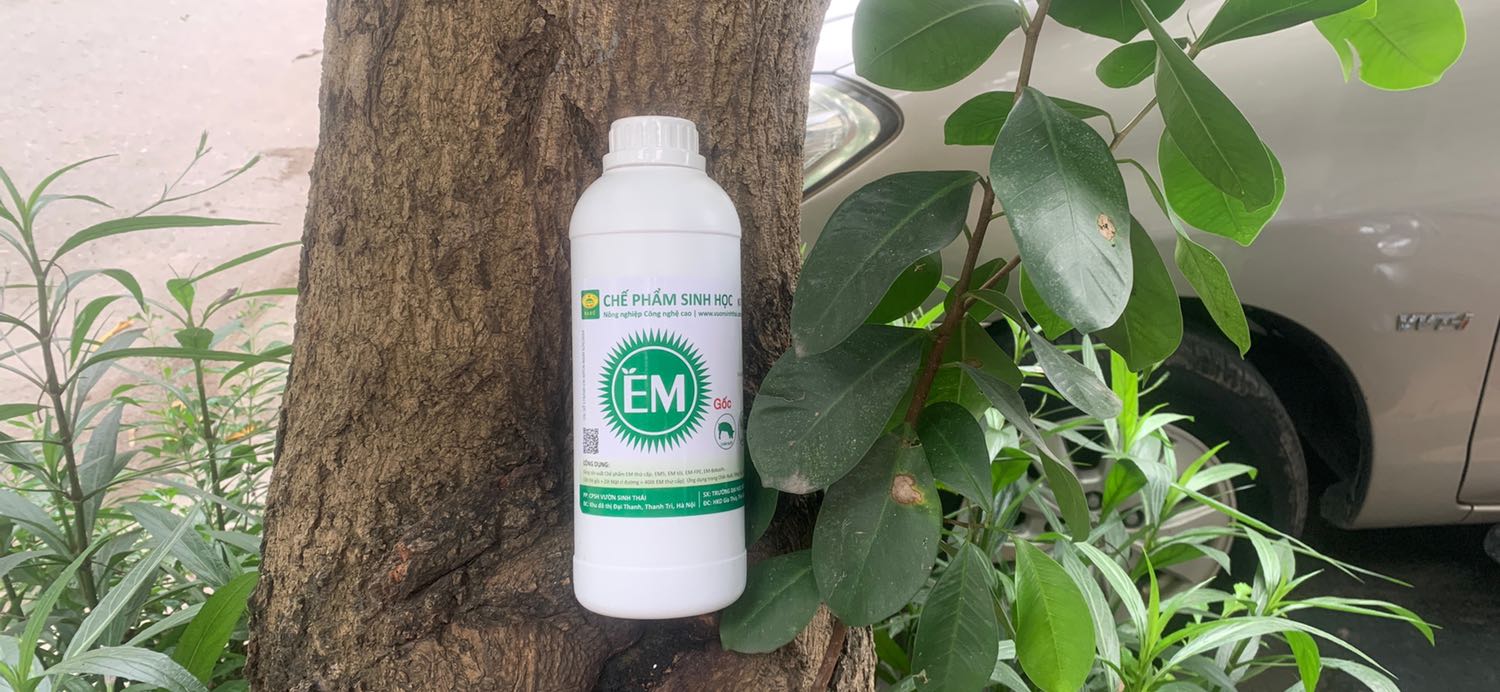 Ủa dịch chuối rất thơm không có mùi hôi
Đã sử dụng rất nhiều sản phẩm của shop
Sản phẩm rất tốt