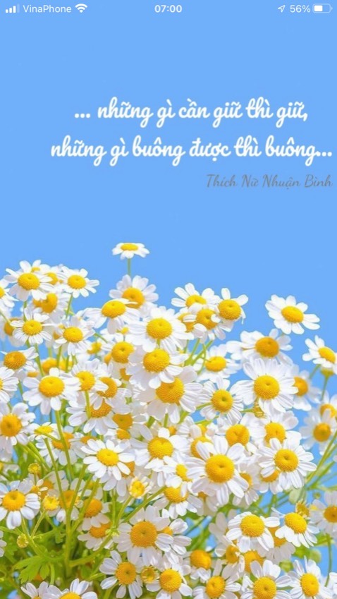 Nằm êm, mua đc giá giảm nên rất OK!