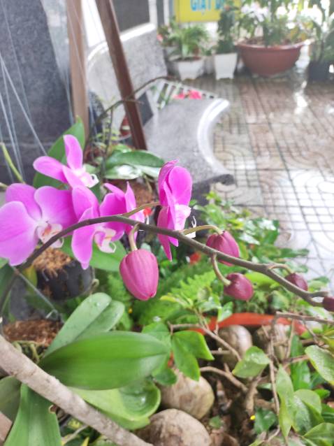 Sách hay, ý nghĩa, in ấn tốt, giao hàng nhanh