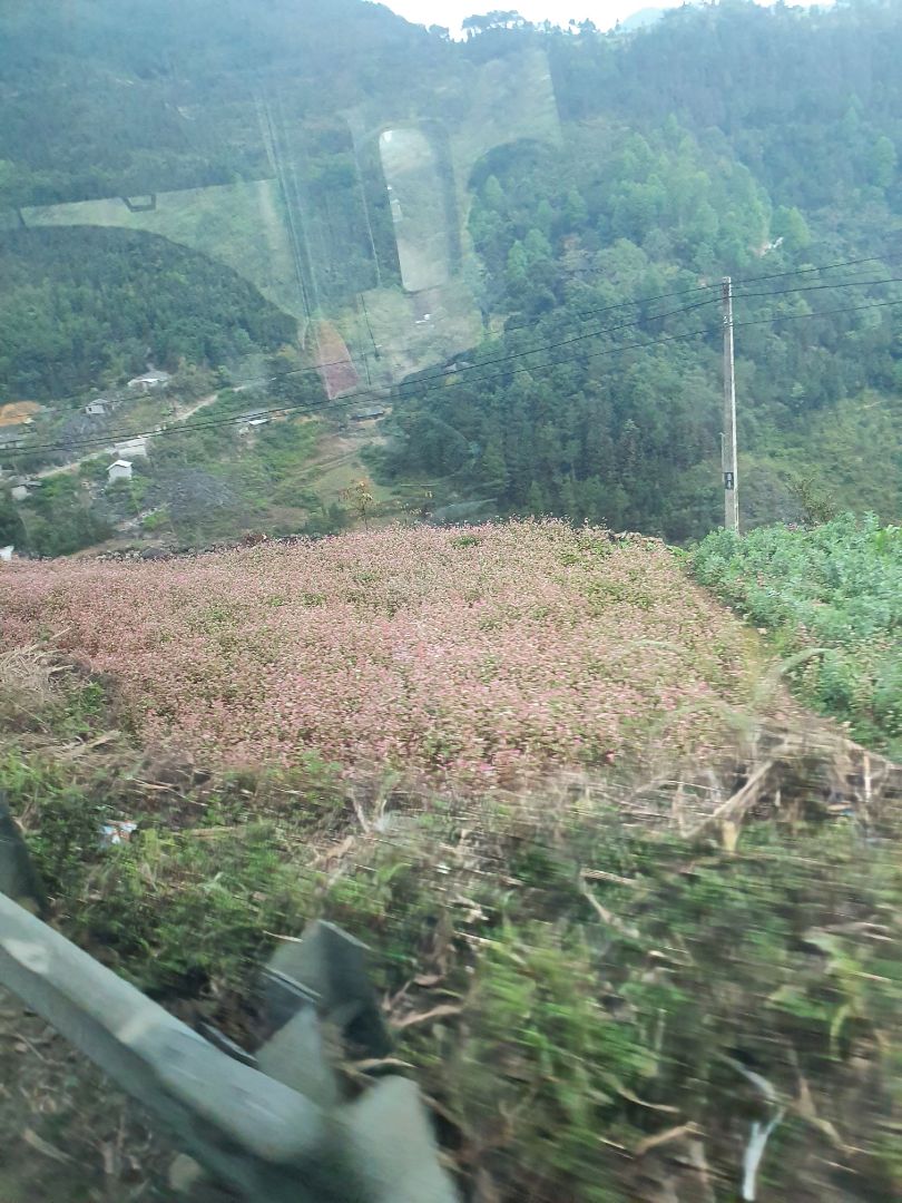 đai dùng ok lắm ạ. có rất nhiều kiểu đeo. rất phù hợp, dễ sửa dụng