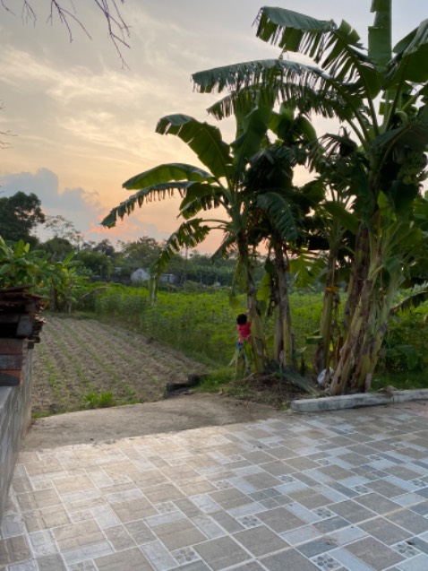 Hay xuất sắc, ko thể rời mắt nha