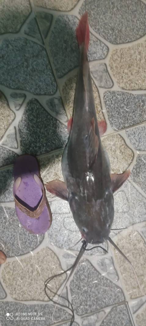 chat luong san pham tot dong goi chac chan va dep shop phuc vu chu dao