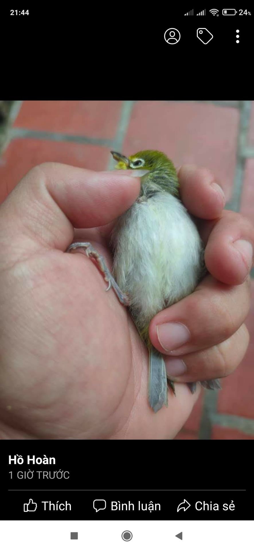 giá rẻ sử dụng tốt, bơm chân tặng kèm tiện dụng.. ok giá rẻ sử dụng tốt, bơm chân tặng kèm tiện dụng.. ok