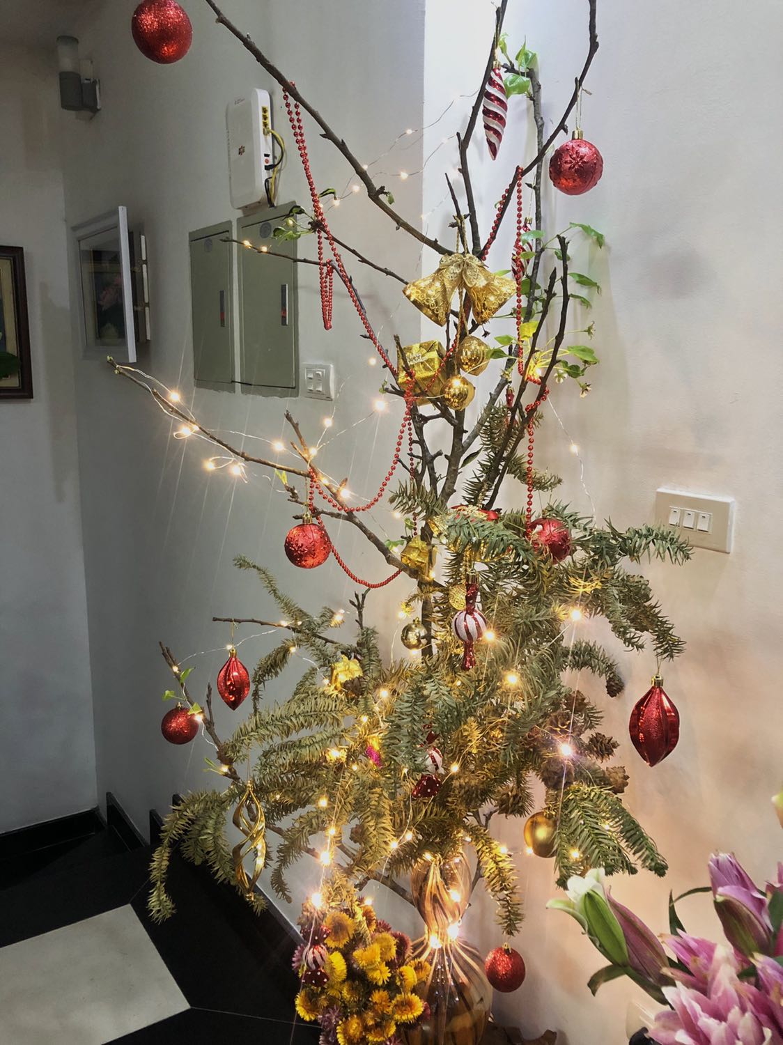 Dây đèn chắc chắn, sáng đẹp, hộp đóng gói cẩn thận