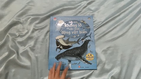 Nội dung hình ảnh hay.