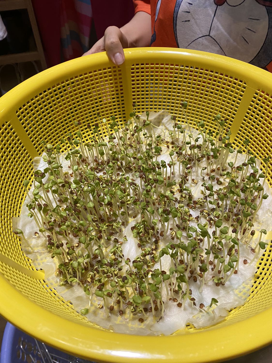 mẫu ko như kì vọng so với hình