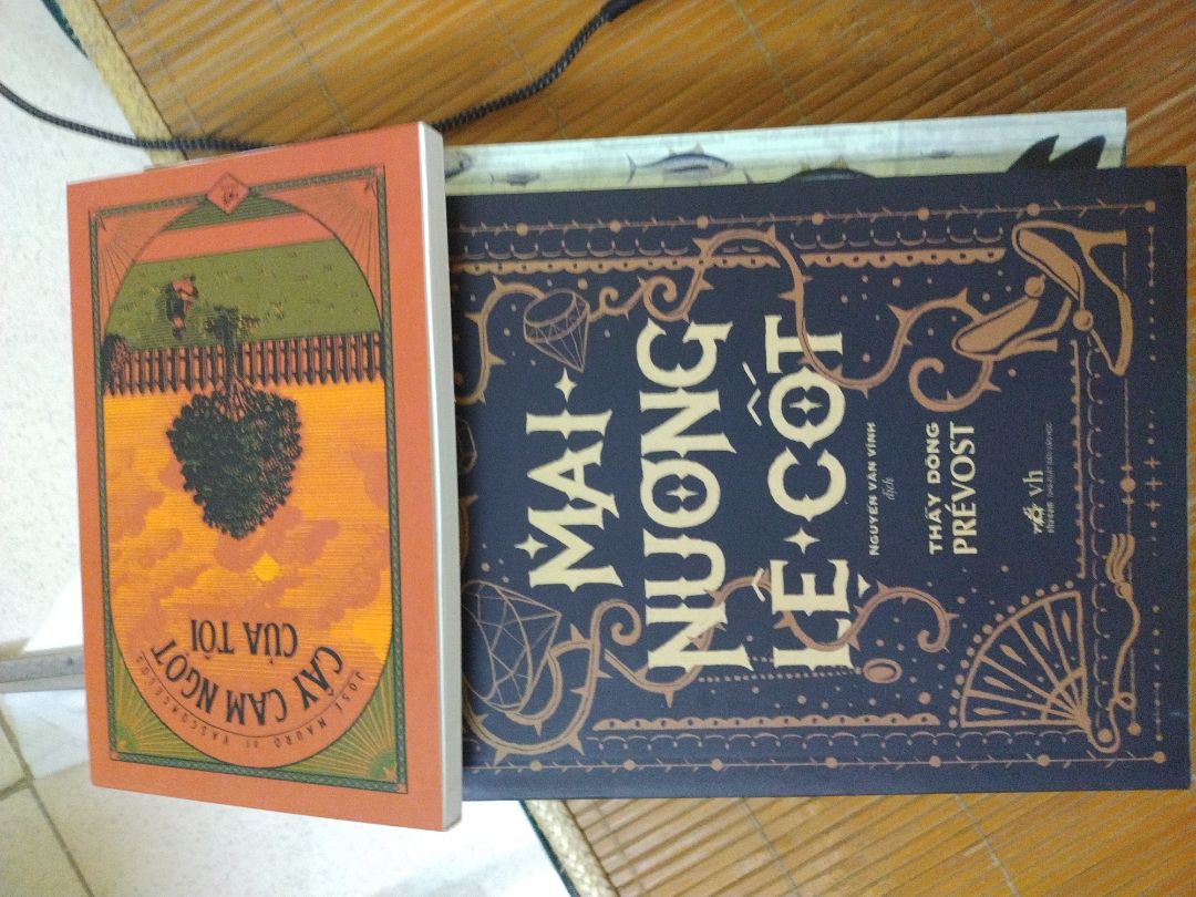 giao hàng nhanh, shipper ok
sách của nhã nam thì chắc chắn ok r
-1* vì dịch vụ đóng gói của tiki vẫn tệ, sách không bọc lót gì cả, có 1 lớp giấy bìa mỏng mỏng ở trên ko biết để làm gi !? may hn trời nắng, chứ gặp hôm mưa thì ...