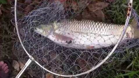 Hàng quá oke nhân viên giao hàng rất nhiệt tình và thân thiện cảm ơn shop🥰