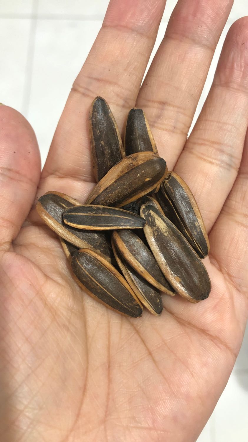 Hạt hướng dương bị gắt dầu, vỏ ngoài vàng không giống với miêu tả. Nhìn sơ qua giống hạt hướng vị caramen nội địa Trung