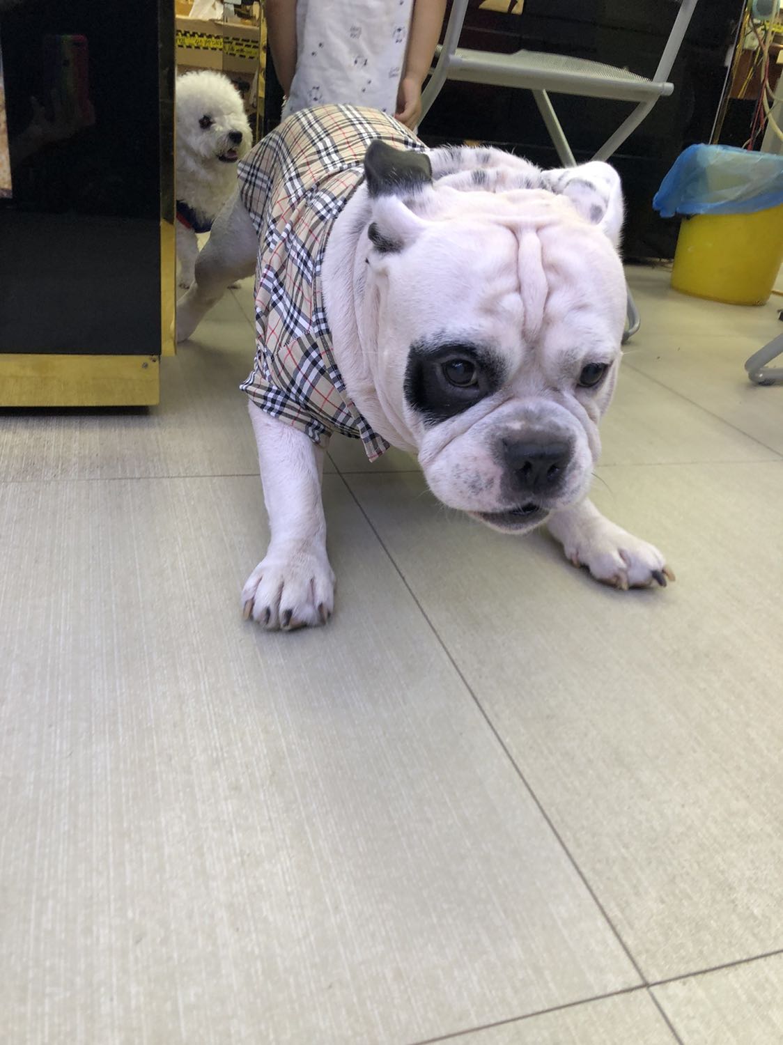 Dhjdkdkdjdjnfkdkd kfnfkfmnđ dndkdkkdndndndn